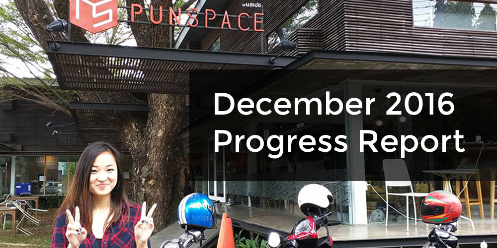 Decmember 2016 progress report